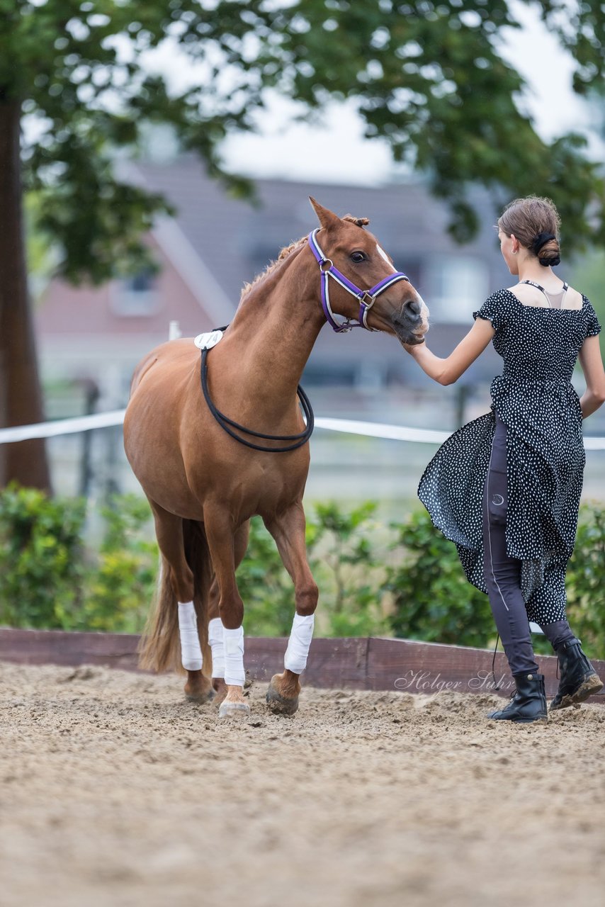 Bild 156 - Pony Akademie Turnier